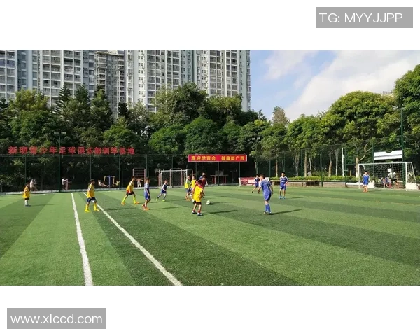 足球血液在心中流淌激情与梦想交织的绿茵场上奋勇拼搏